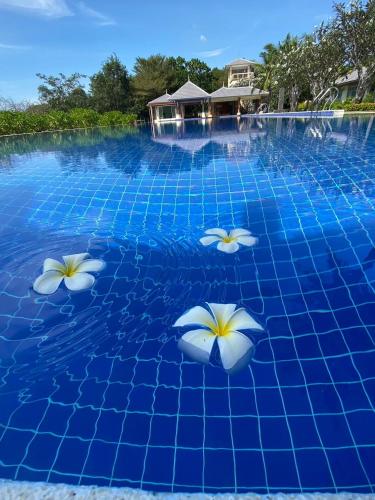 a swimming pool with blue water with white flowers in it at เดอรำพึง De Ramphueng ชายหาดแม่รำพึง ระยอง in Ban Chak Phai
