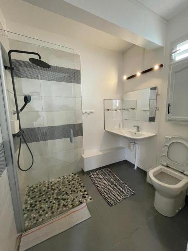a bathroom with a shower and a toilet and a sink at Océane in Bord de Mer