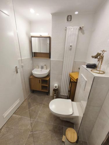 a bathroom with a toilet and a sink at Ferienwohnung Aggelina in Bad Neuenahr-Ahrweiler