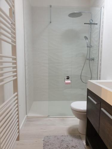 une salle de bain avec une douche avec des toilettes et un lavabo dans l'établissement La Grange des Tilleuls, à Lantenay