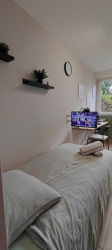 une chambre avec un lit et une télévision au mur dans l'établissement Votre Refuge Urbain Logement Complet pour Étudiants et Pros, à Rennes