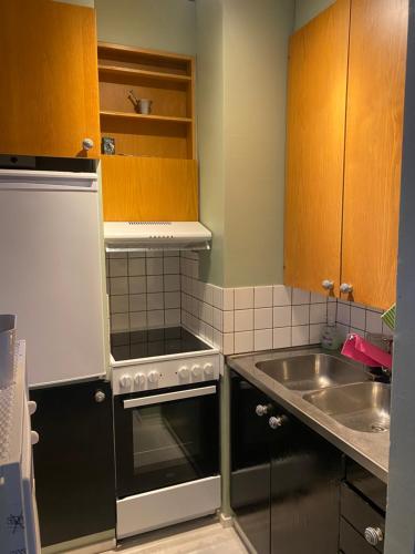 Kuchyň nebo kuchyňský kout v ubytování Kauniit yksiöt, 600m keskustaan, free park