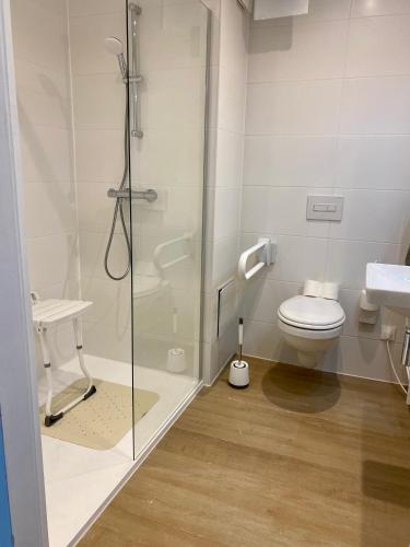 une salle de bain avec douche et toilettes dans l'établissement Les Aurores, à Bitche