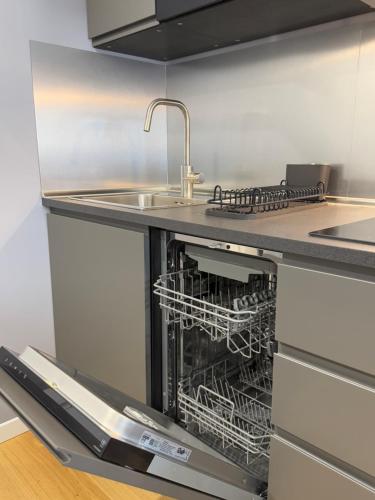 a kitchen with a sink and a dishwasher at VB's Luxury Flat in Rome