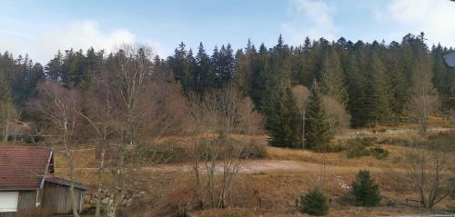 a hill with trees and a house in the foreground at Evasion Gérardmer in Gérardmer