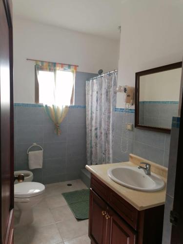 a bathroom with a sink and a toilet and a mirror at Apartment Rozarka Soficu El Edén Dominicus in La Laguna