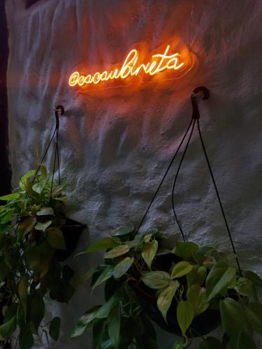 a neon sign that is on the side of a wall at Cacau Biruta in Itacaré