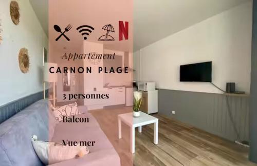 *Les Voiliers, Studio, Vue sur Mer, Wifi, Parking*