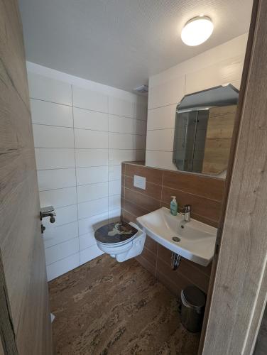 a bathroom with a toilet and a sink at Pension Neue Linde in Alsfeld