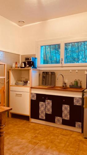 a kitchen with a counter and a sink and two windows at Métairie de Moutiques in Cazaubon
