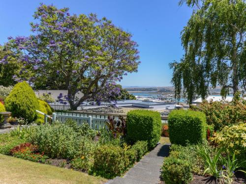 a garden with a view of the water at Jacaranda Lodge - Napier Hill Holiday Home in Napier