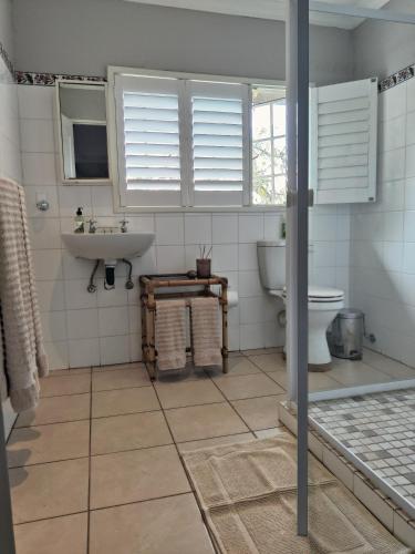 a bathroom with a sink and a toilet at The Loft in Kiepersol