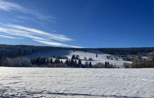 a snow covered field with trees in the distance at Apartmán Nové Hutě Šumava in Nové Hutě