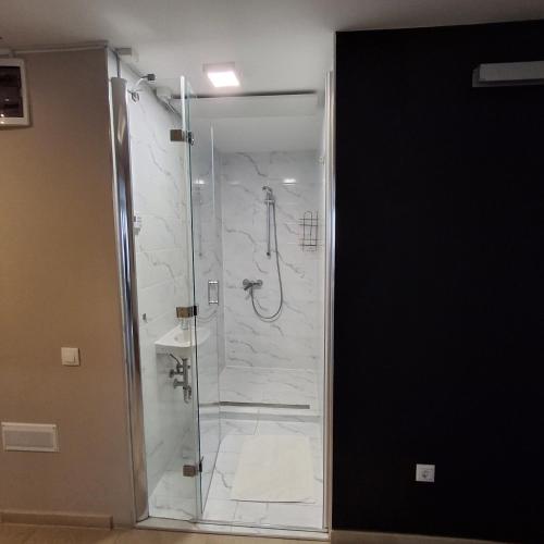 a shower with a glass door in a bathroom at Unicorniselit Apartmanok in Eger