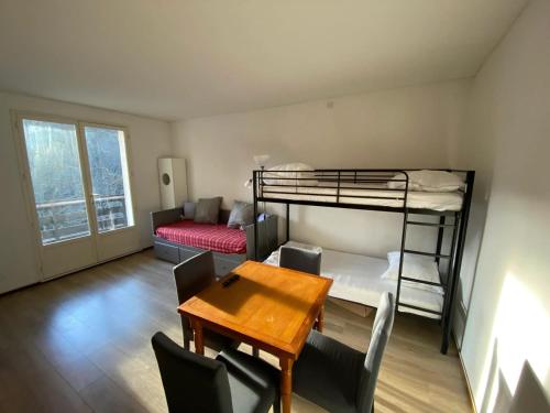 Charmant studio à Laguiole avec vue montagne 27 m²