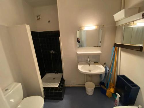 ein Badezimmer mit Waschbecken, Toilette und Dusche in der Unterkunft Charmant studio à Laguiole avec vue montagne 27 m² in Laguiole