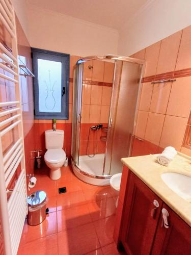 a bathroom with a shower and a toilet and a sink at Villa Garden and Sea Lefkada in Lygia