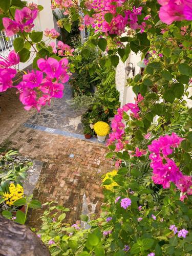 a garden with pink flowers on a brick path at DƯỚI TÁN CÂY homestay in Tây Ninh