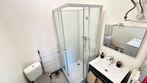 une salle de bain avec une douche, des toilettes et un lavabo dans l'établissement Studio cosy Aix les Bains, à Aix-les-Bains