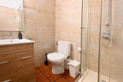 Central and bright temporal penthouse Madrid center MYR137C