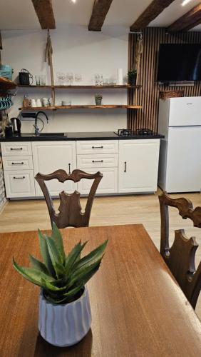 a kitchen with a table with a potted plant on it at Hiša stare mame in Kamnik