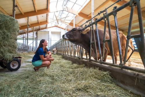 a woman kneeling in front of a cow in a barn at Holiday Inn St-Jean-sur-Richelieu Congrès by IHG in Saint-Jean-sur-Richelieu