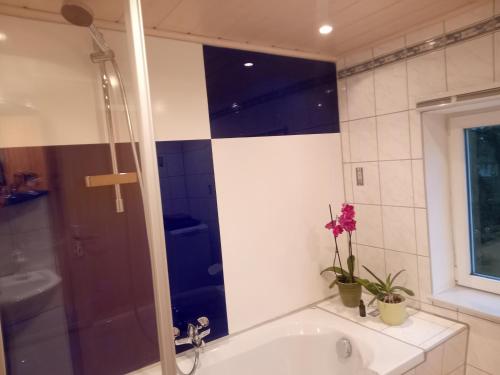 a bathroom with a shower and a tub with a sink at Ferienwohnung zum Sebnitzer Hirsch in Sebnitz