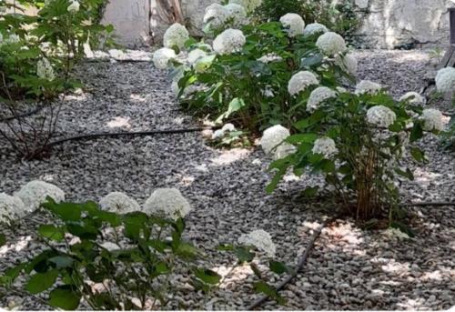 Photo de la galerie de l'établissement Ideal studio intra-muros, à Avignon