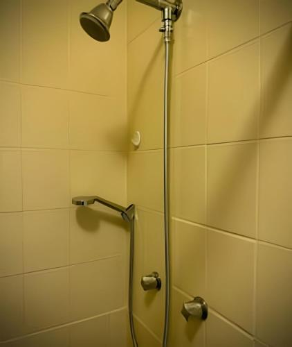 a shower with a shower head in a bathroom at Chic retrô no Flamengo in Rio de Janeiro