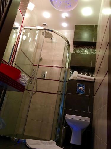 a bathroom with a shower and a toilet at Dworek w Dawnej Szkole in Sieradz