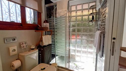 a small bathroom with a toilet and a window at Parrot Cage - the Gay Villa in Playa del Ingles