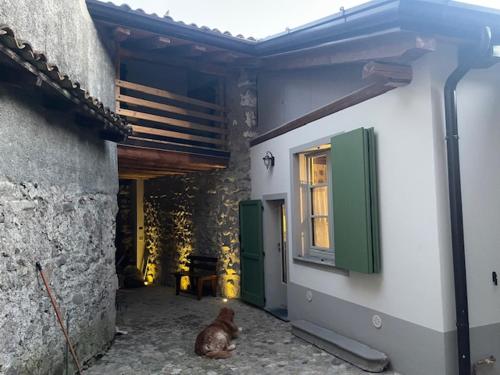 a cat sitting outside of a building with a window at La Cà di Tonia e Abigaille in Songavazzo