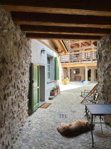 a dog sleeping on the ground in a courtyard at La Cà di Tonia e Abigaille in Songavazzo