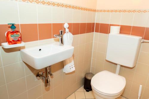 a bathroom with a toilet and a sink at BergZeit Apartments in Spital am Semmering