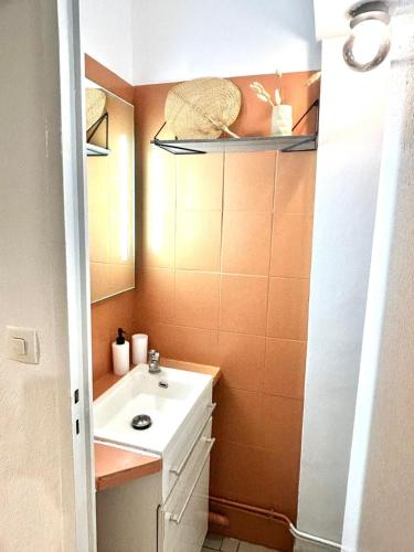 une salle de bain avec un lavabo blanc et un miroir dans l'établissement Studio le nid rouennais, calme en hypercentre, à Rouen