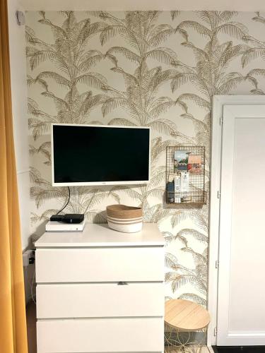 une télévision au-dessus d'une commode dans une pièce dans l'établissement Studio le nid rouennais, calme en hypercentre, à Rouen