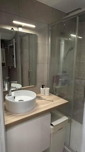 une salle de bain avec un lavabo et une douche en verre dans l'établissement Mer & Nature - Le Ponant, à La Grande Motte
