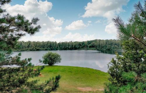 a view of a lake through the trees at Gorgeous Home In Afferden With Wifi in Afferden