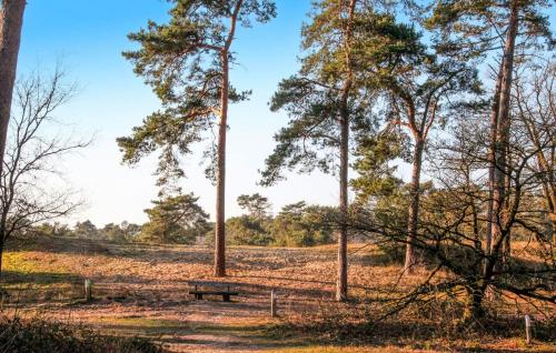 a park bench in the middle of a field with trees at Gorgeous Home In Afferden With Wifi in Afferden