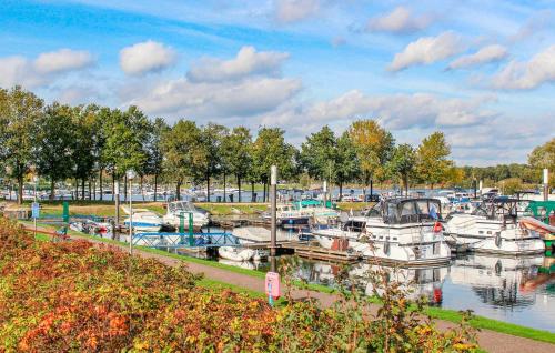 a group of boats docked at a marina at Nice Home In Afferden With Wifi in Afferden