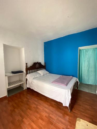 a bedroom with a bed with a blue wall at Casa de férias 