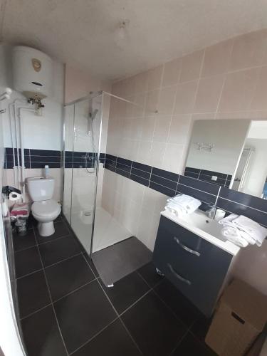 a bathroom with a shower and a toilet and a sink at tite Caz a nou in Saint-Paul