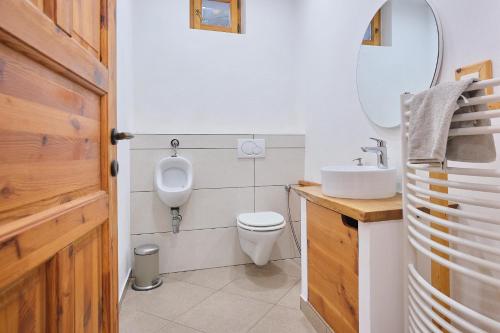 a bathroom with a toilet and a sink and a mirror at Hisa na Zlatem polju in Lukovica pri Domžalah