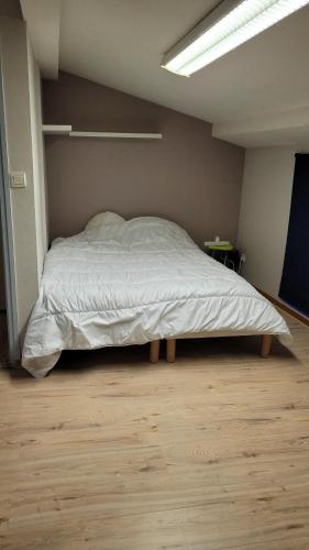 Cette chambre comprend un grand lit et du parquet. dans l'établissement Appartement 3 chambres centre historique, au Puy-en-Velay