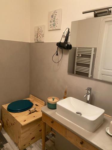 a bathroom with a sink and a mirror at La Maison de l'Andelot in Monteignet-sur-lʼAndelot