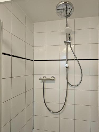 a shower with a shower head in a bathroom at Ferienhaus Oll Smee 9 Huus EEN mit Terrasse, Grill und kleinem Garten in Werdum