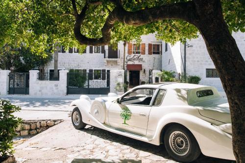 un coche blanco estacionado junto a un árbol en Art Hotel Galathea, en Kotor