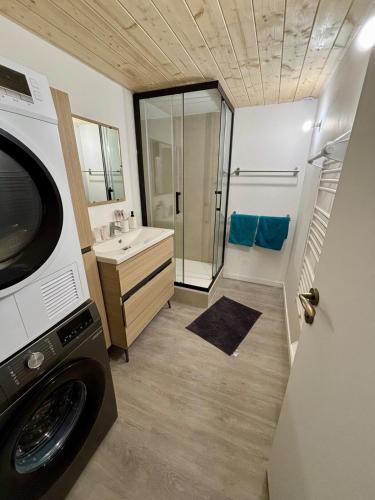 une salle de bain avec une machine à laver, un lavabo et une machine à laver dans l'établissement PartDieu tout neuf, climatisation !, à Lyon