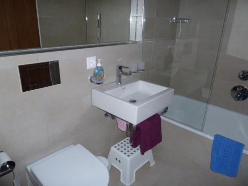 a bathroom with a sink and a shower and a toilet at Chalet Mittaghorn in Adelboden