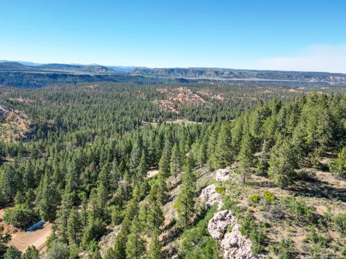 an aerial view of a forest of trees at Elk Haven in Alton